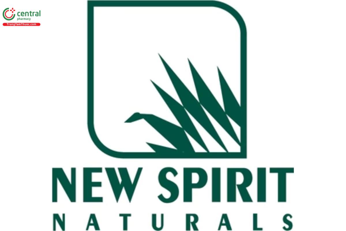 New Spirit