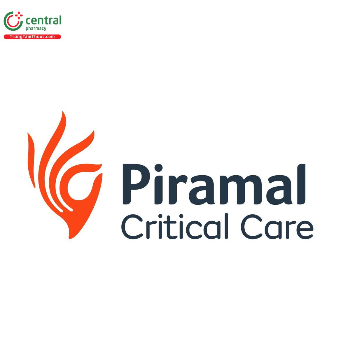  Piramal Critical Care, Inc