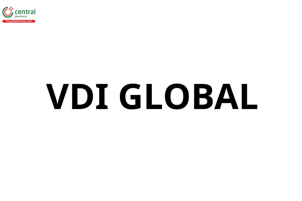 CÔNG TY TNHH VDI GLOBAL