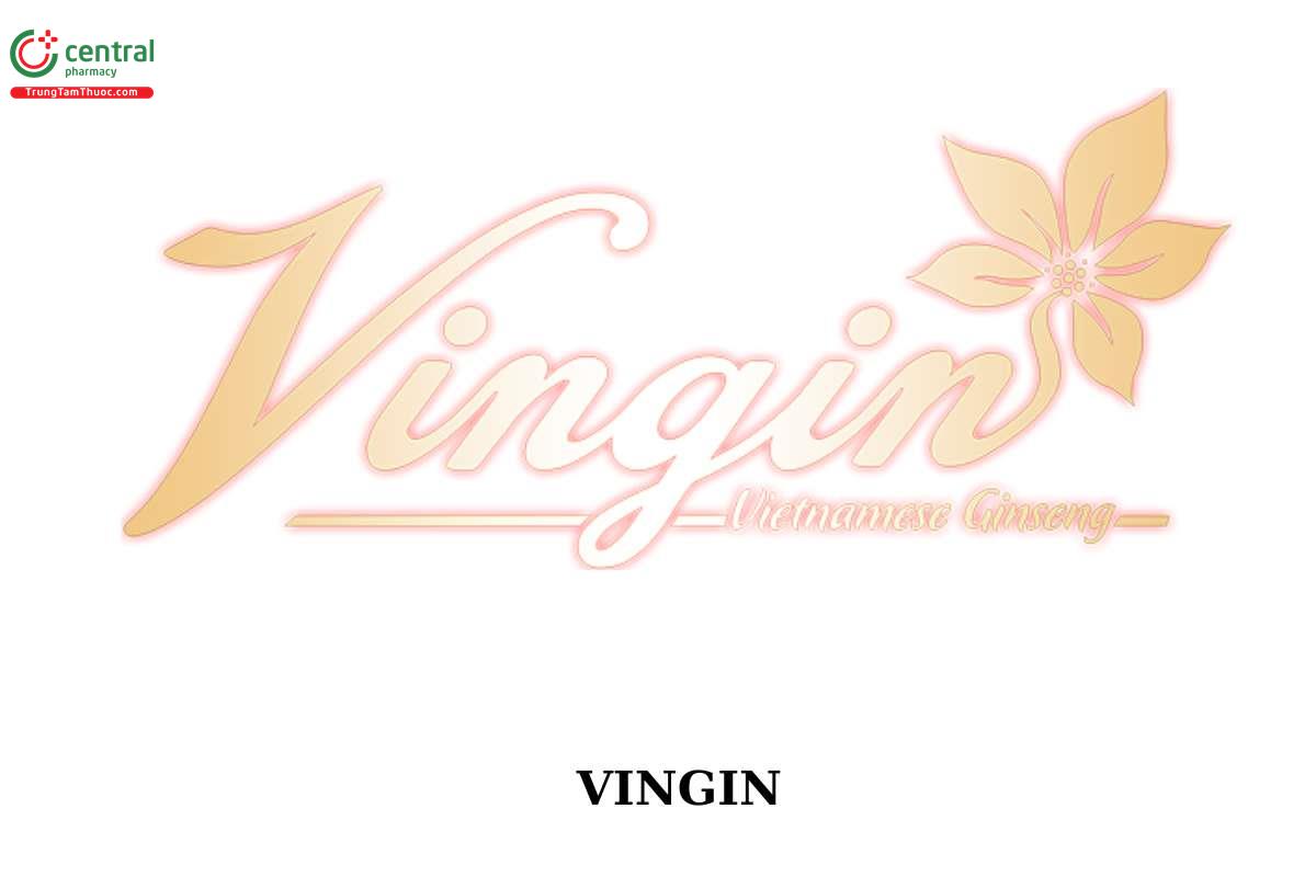 VINGIN