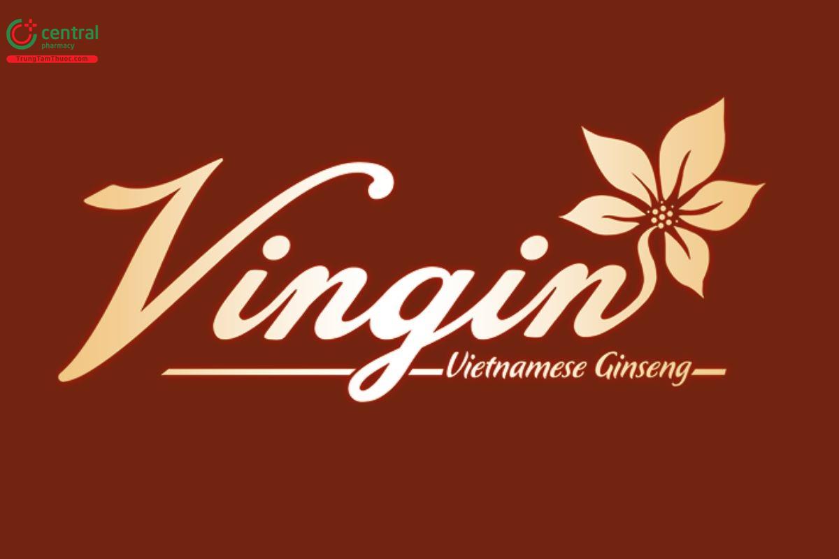 Công ty Cổ phần Vingin
