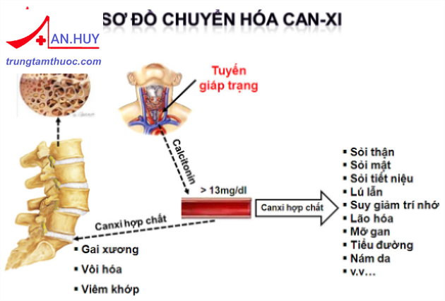 tăng canci máu