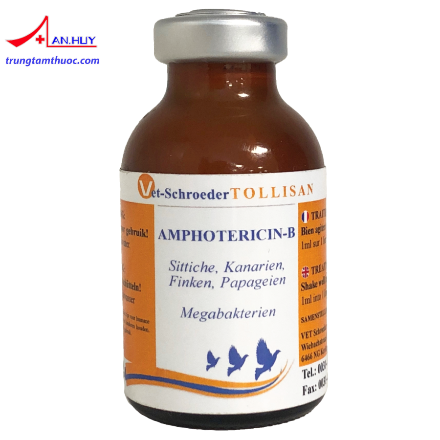 Amphotericin_B