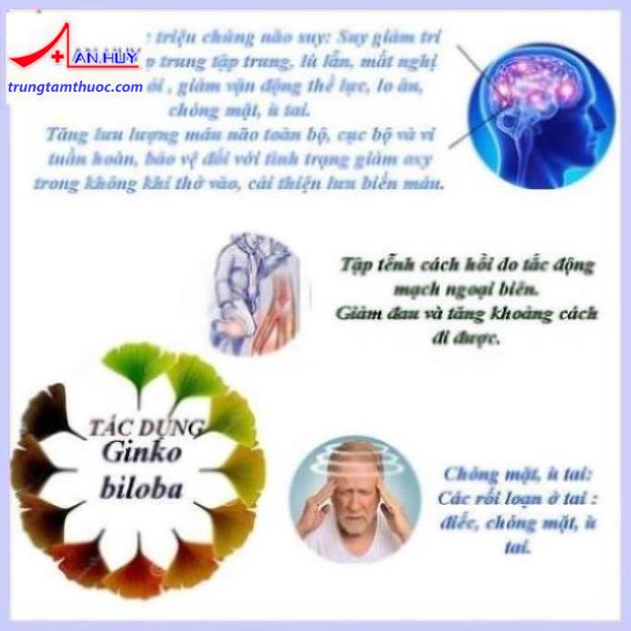 Tác dụng của Ginko biloba đã được ghi nhận