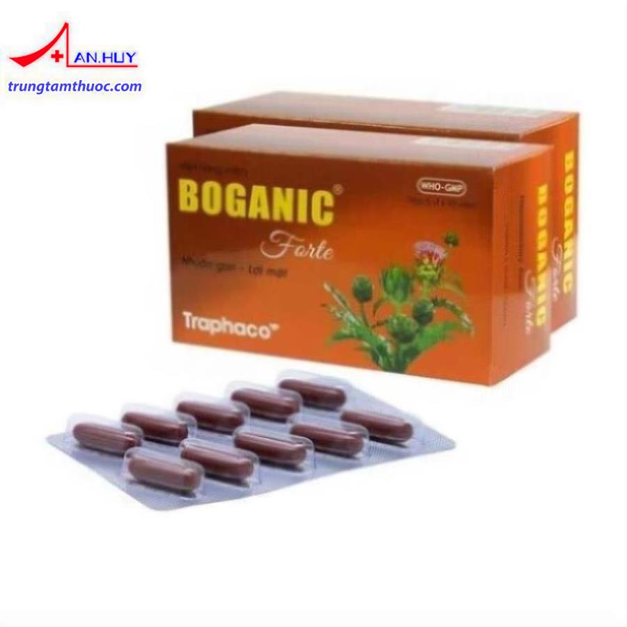Uống trà actiso giúp thanh nhiệt, giải độc gan