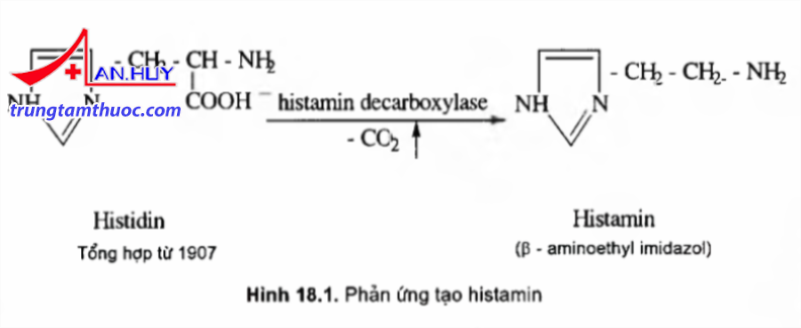 phan_ung_tao_histamin