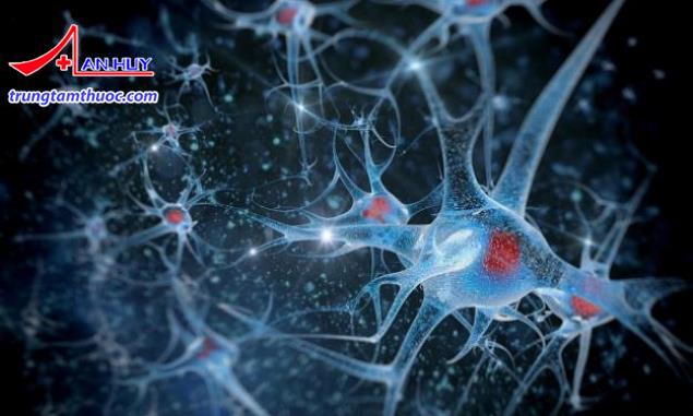 Thiết bị mới giúp phát triển các phương pháp trị liệu mới để giảm đau, cai nghiện và điều trị chứng rối loạn cảm xúc.