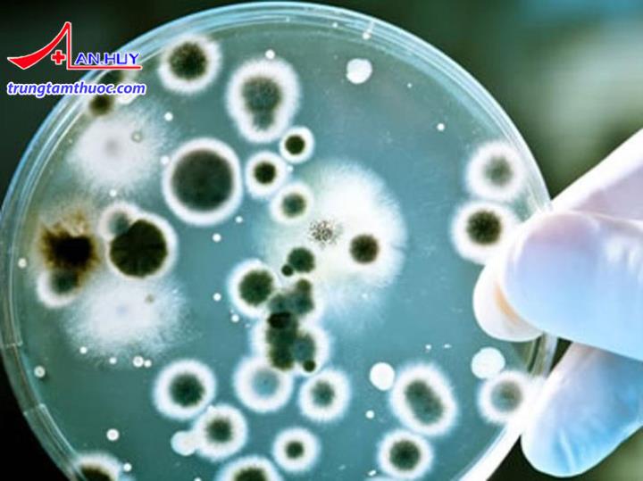Nhiều người sẽ chết vì nhiễm siêu vi khuẩn nhiều hơn là do bệnh ung thư và tiểu đường kết hợp.