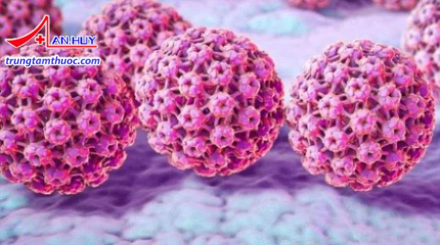 Hình ảnh minh họa virus HPV.