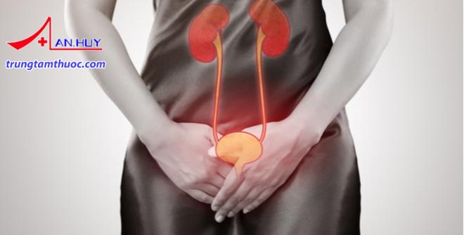 Triệu chứng nhiễm khuẩn đường tiết niệu