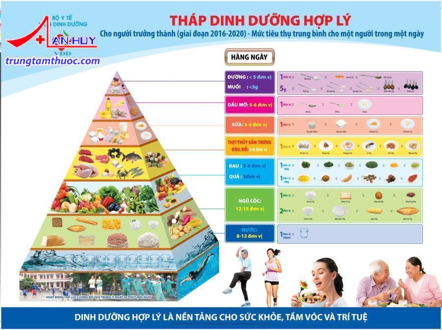 tháp dinh dưỡng