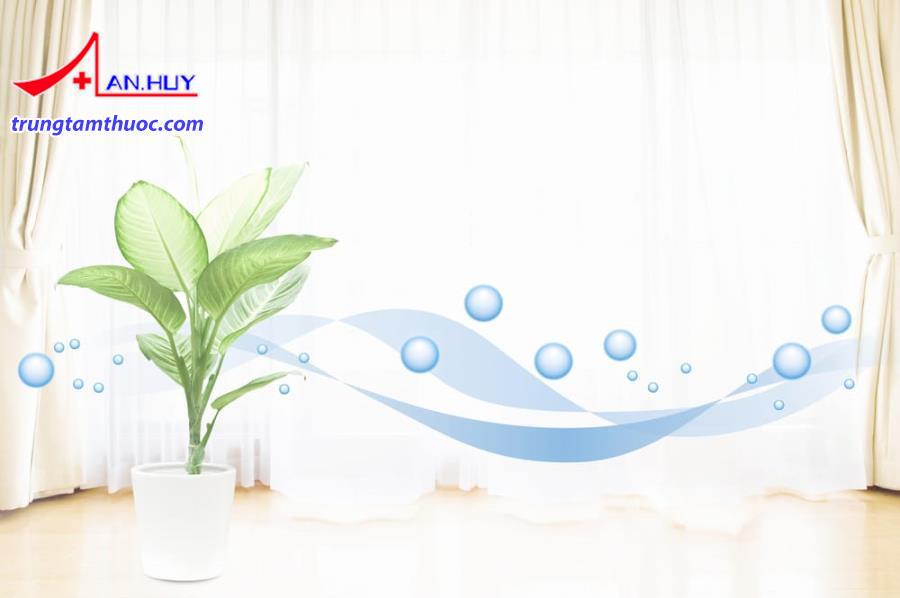 Ứng dụng công nghệ cao để lọc sạch không khí đang là xu hướng mới hiện nay.