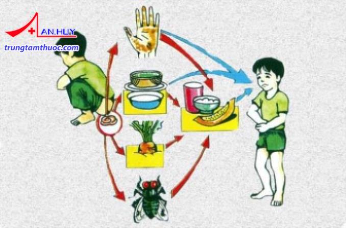 Có nhiều nguyên nhân khiến trẻ bị tiêu chảy kéo dài.