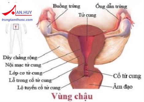 viêm vùng chậu