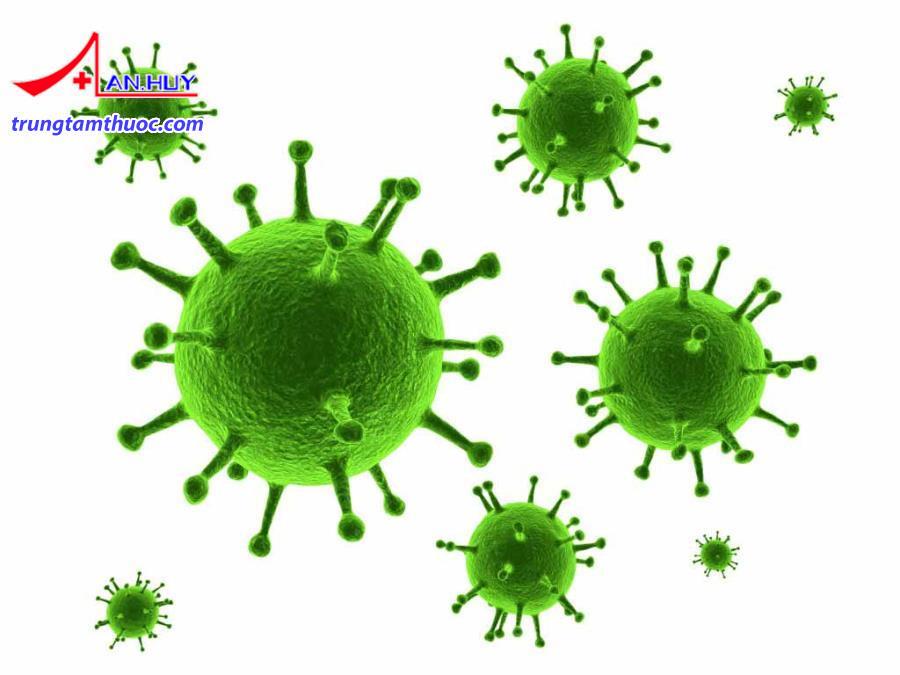 Virus