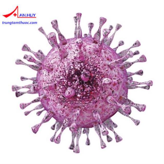 Virus herpes.